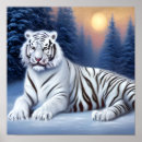 Buscar tigre blanco arte Nieve