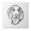 Buscar perro negro azulejos Para mascotas