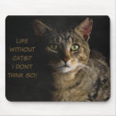 Buscar meme electronica Gatito
