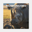 Buscar ngorongoro imanes Naturaleza