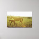 Buscar amante del caballo lienzos Oeste salvaje