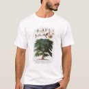 Buscar haid camisetas Siglo