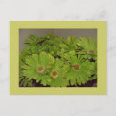 Buscar flower power postales Flores
