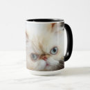 Buscar interés fotografía Gatito