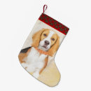 Buscar beagles calcetines navideños Para todos