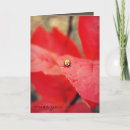 Buscar mariquitas tarjetas Para todos