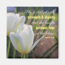 Buscar proverbios 31 imanes Cristiano