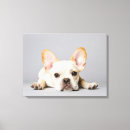 Buscar french bulldog arte Canine