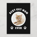 Buscar el día madre del gatito postales 9 º gata