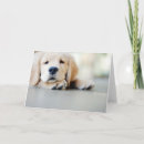 Buscar tirada tarjetas Perro