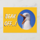 Buscar gaviotas Para él