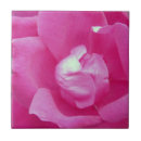 Buscar rose azulejos Flores