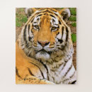 Buscar siberian puzzles Para todos