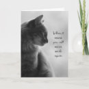 Buscar tarjetas que te mejores 9 º gata