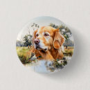 Buscar golden retriever chapas Recuperador