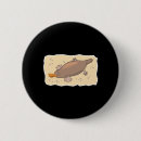 Buscar platypus chapas Adorable