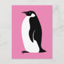Buscar pingüino blanco y negro postales Moderno