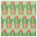 Buscar cactus telas Planta