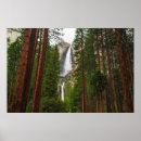 Buscar cascada posters California