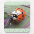 Buscar ladybug alfombrillas de raton 4 º bicho