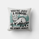 Buscar meme del gato cojines Felino