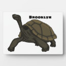 Buscar tortugas placas fotograbadas Reptil