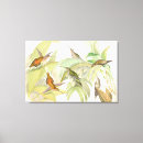 Buscar humedal arte Aves