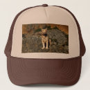 Buscar vigilante gorras Animal