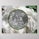 Buscar peony floral posters Inmoralidad