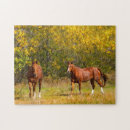 Buscar equino puzzles Naturaleza