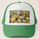 Buscar otoño gorras Cosecha