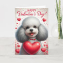 Buscar lindas del perro tarjetas Caniche