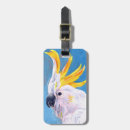 Buscar mohawk accesorios Tropicales