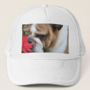 Buscar perro del toro gorras Perros