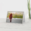 Buscar esconda dentro tarjetas Fotografía