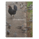 Buscar gallina cuadernos Pájaros