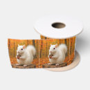 Buscar bellota cintas Bosque