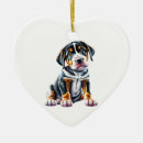 Buscar suiza adornos Invierno