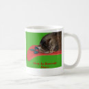Buscar almacenamiento tazas Café