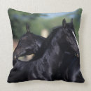 Buscar caballo árabe cojines Árabes