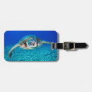 Buscar buceo etiquetas para maletas Natación