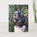 Buscar mamífero tarjetas Zoológico