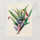 Buscar vintage botanical postales Floral