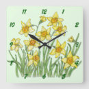 Buscar jonquil Primavera