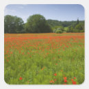 Buscar campo agrícola pegatinas Croplante