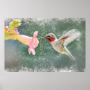 Buscar colibríes posters Néctar