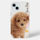Buscar caniche iphone fundas Animales