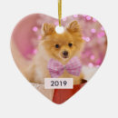 Buscar perros adornos Caprichoso
