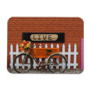 Buscar bici imanes Flores