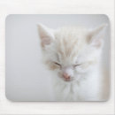 Buscar durmiendo alfombrillas de raton Adorable